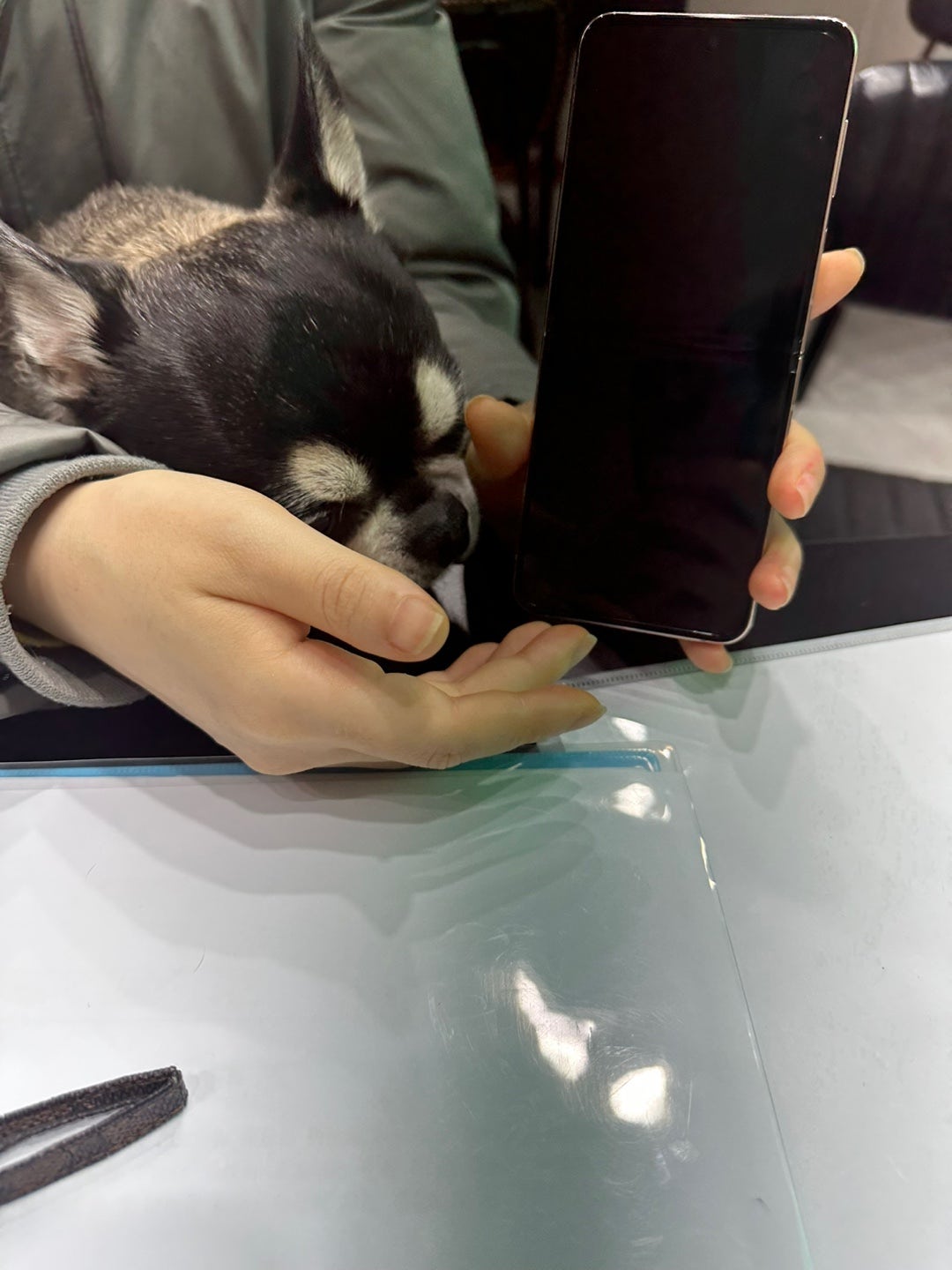 진주 평거동 ㅅㅈㅊㅈㅁ 재구매