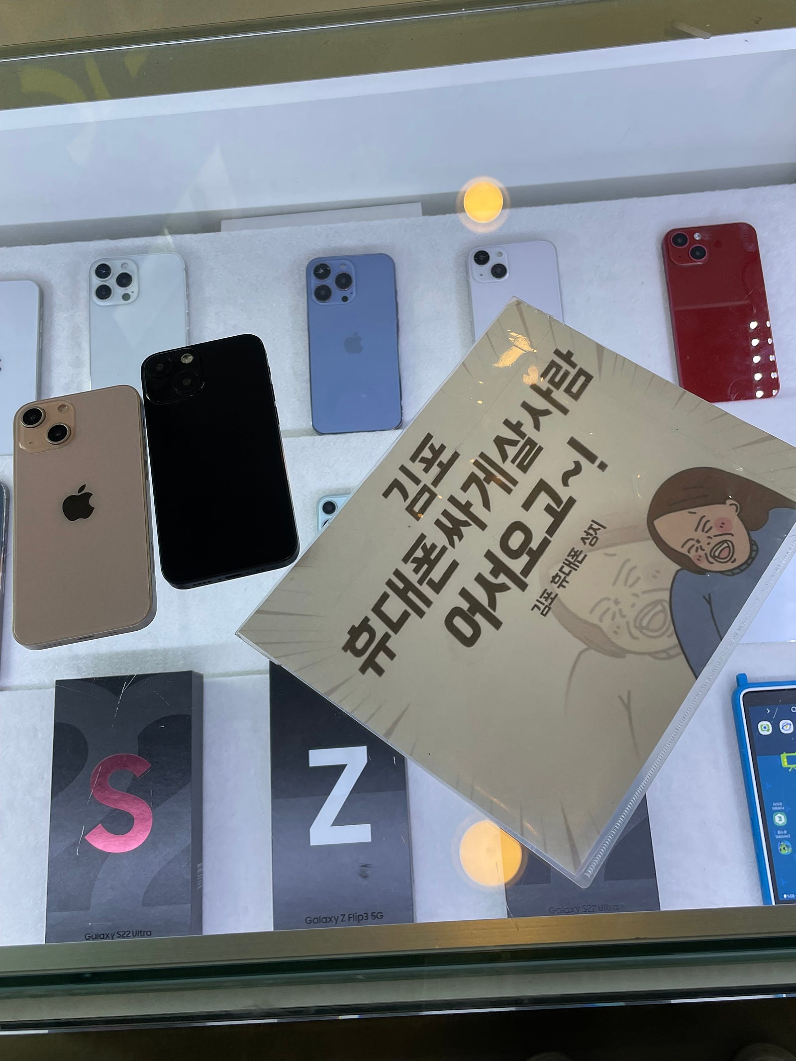 김포 장기동 ㄷㅅㅊㅅ 옆 13미니