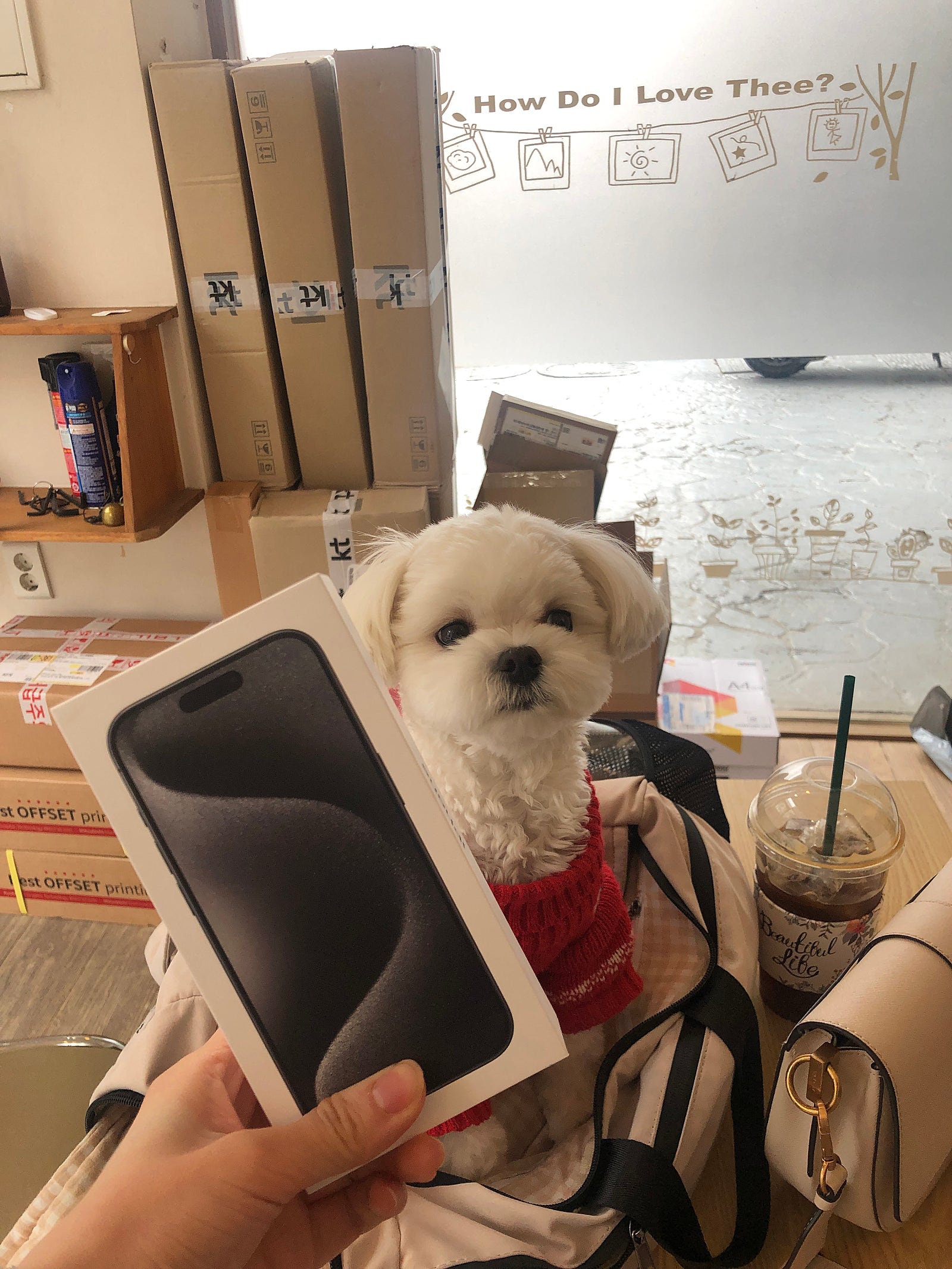 일산 ㅋㅍㄷㅇ 아이폰프로 개통후기