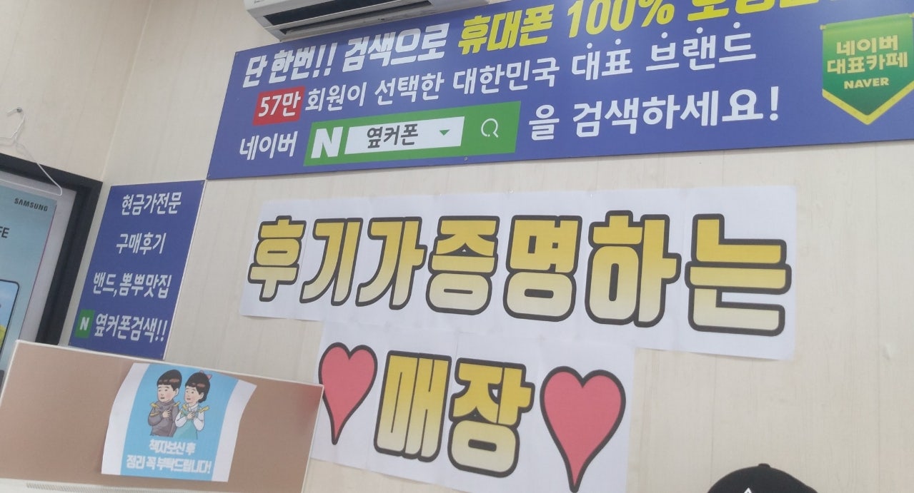 제주플립6후기