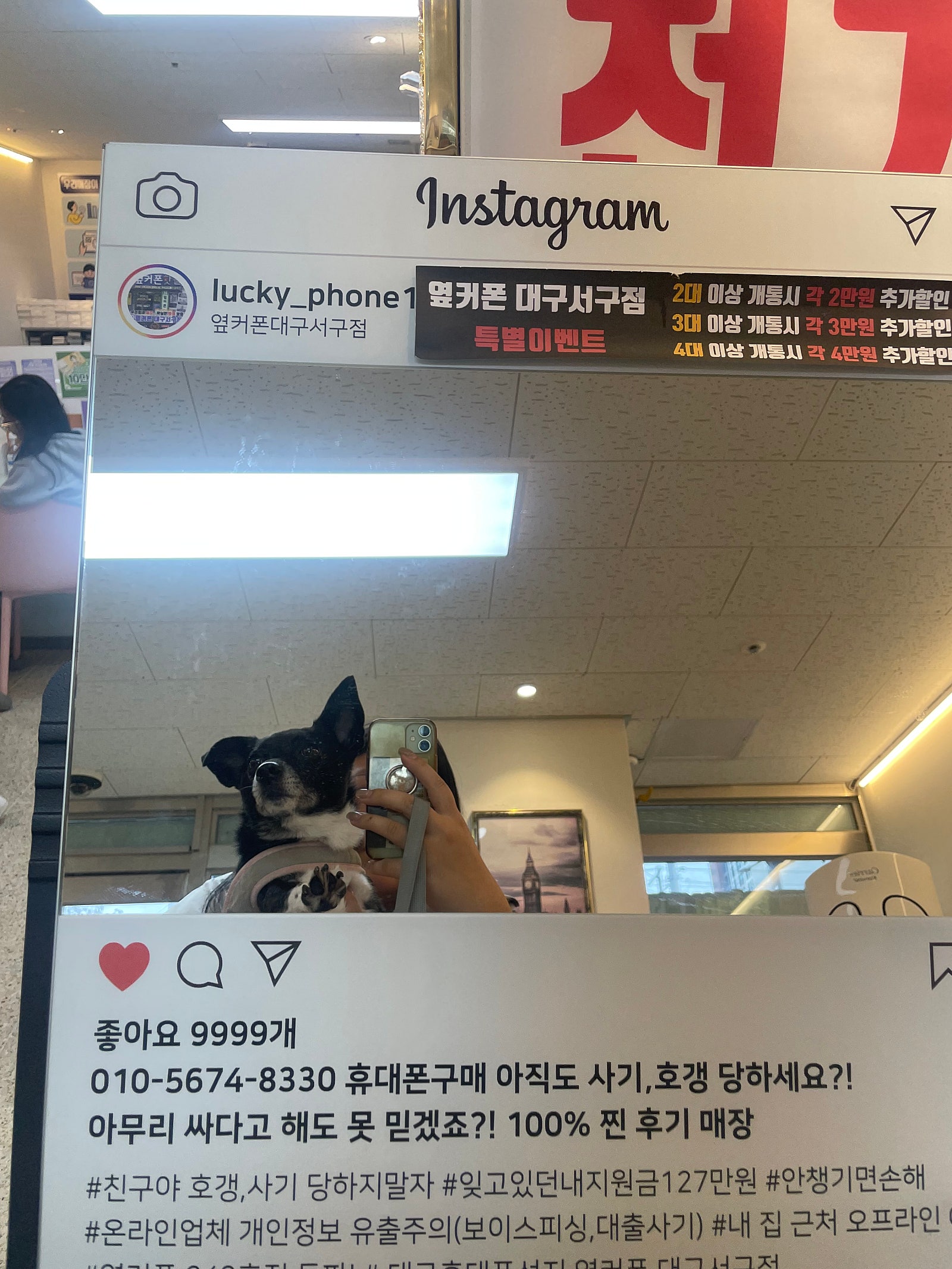 서구점 구매후기용