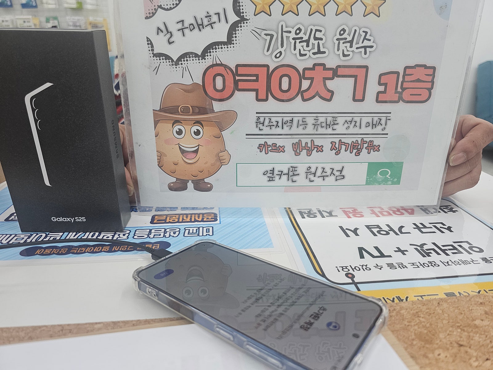 원주 혁신점 오늘 가격 미쳤네여~~