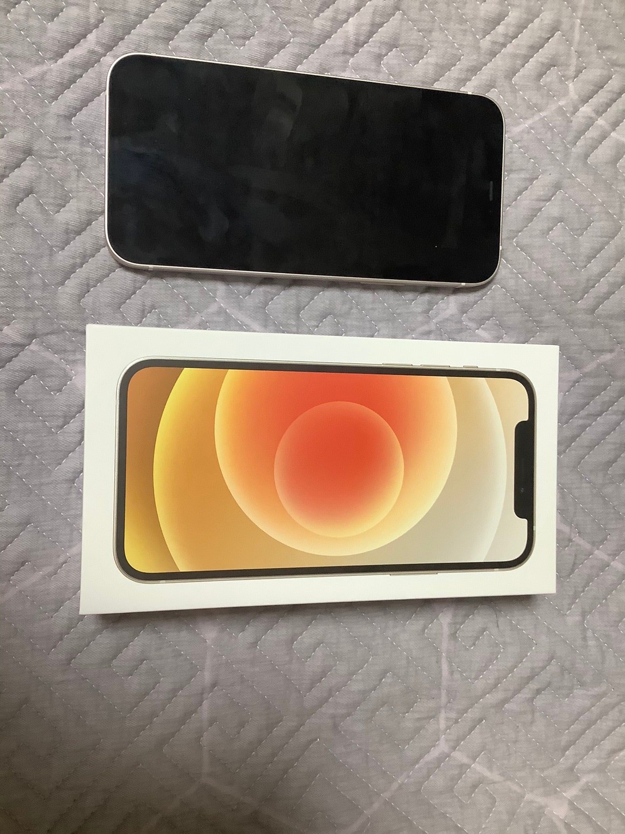 신림