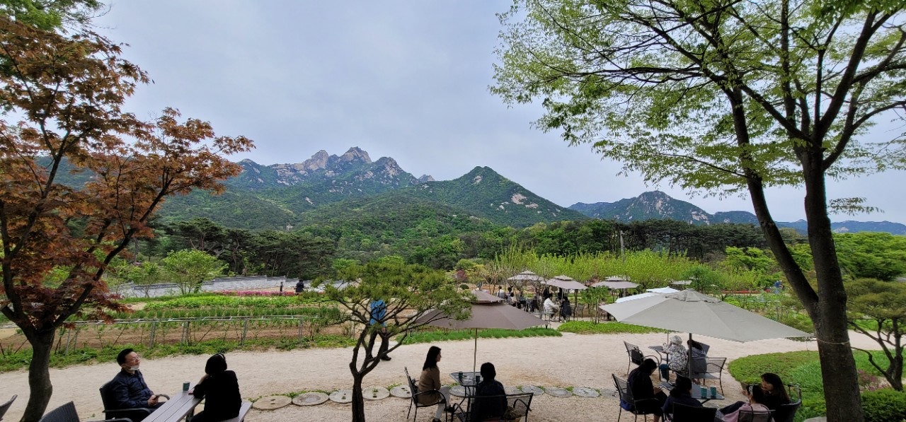녹번동 ㄷㅎㅈㅅㅈ 옆 갤노트 20 울트라 구입