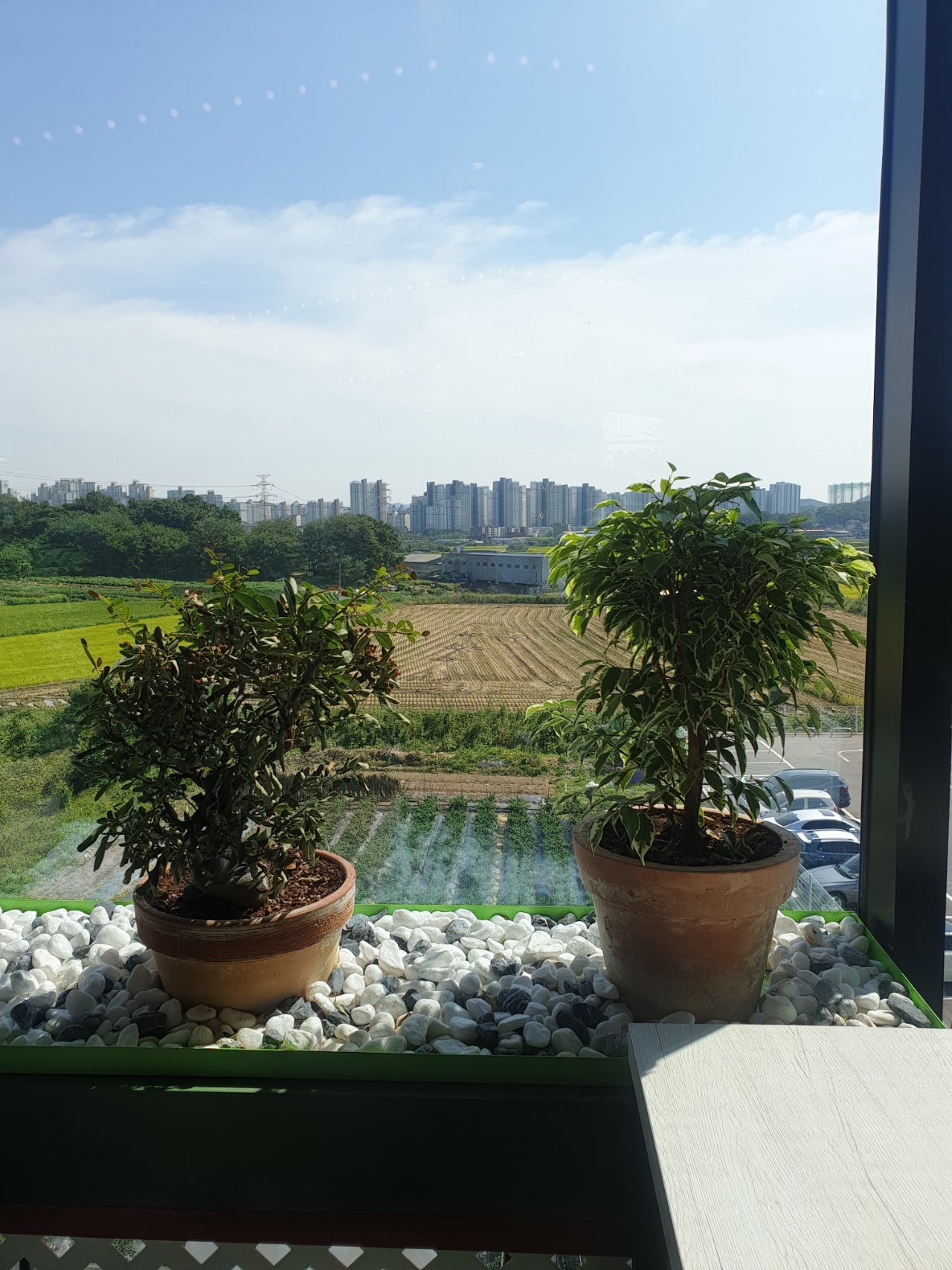 경기부천중동 노트20구매후기 이미지 2