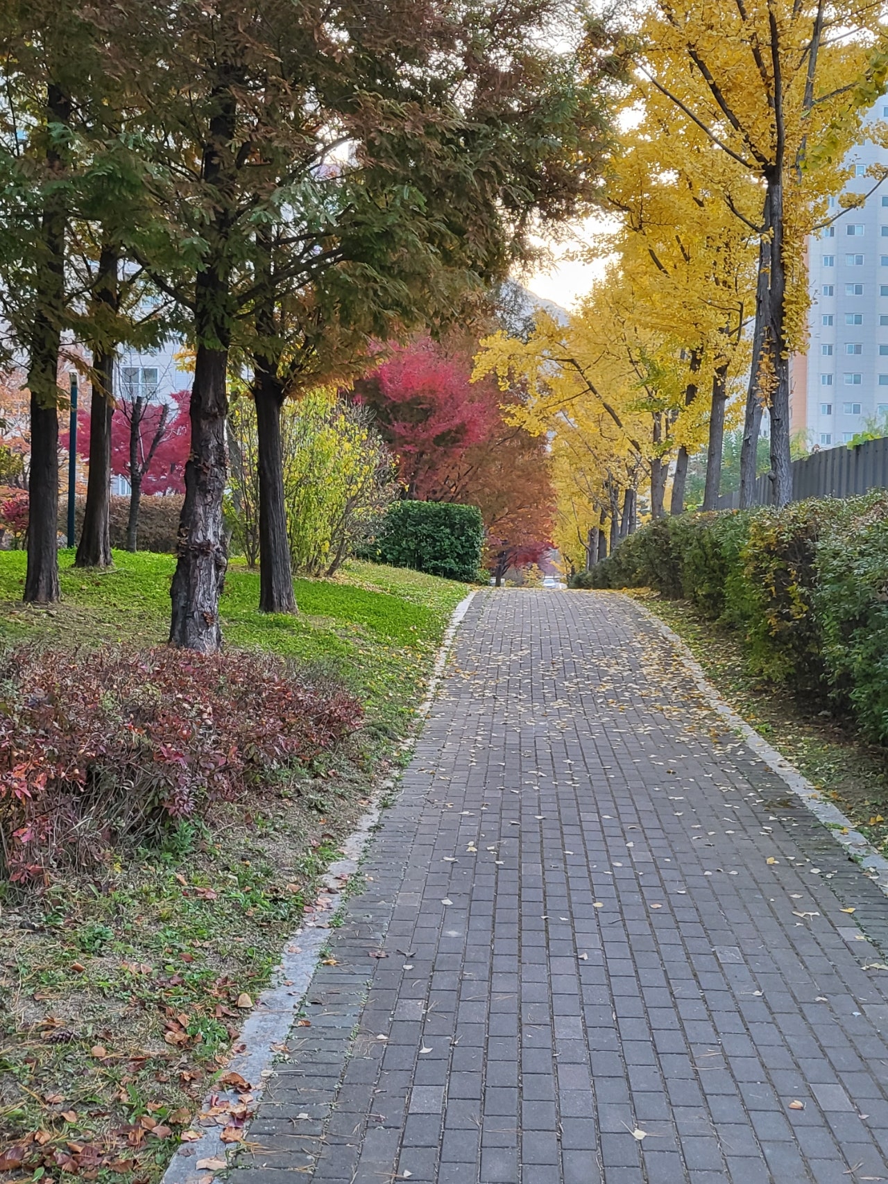 서울시 은평구 녹번동 갤럭시Z플립3 라벤더 구매후기 이미지 2