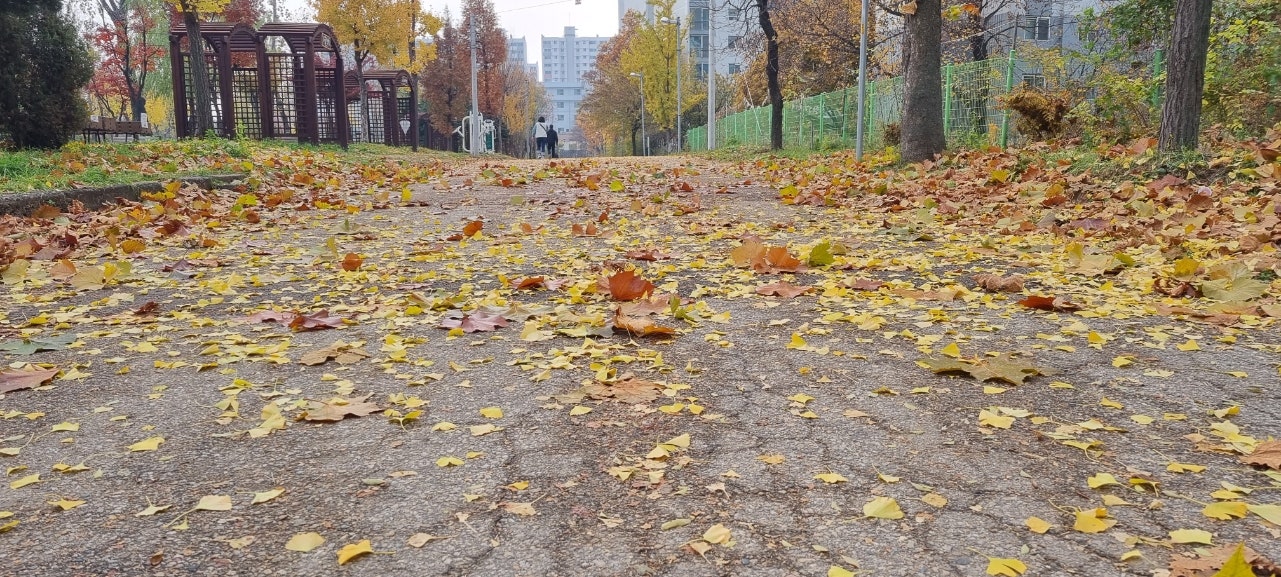 갤럭시 s21 sk번이