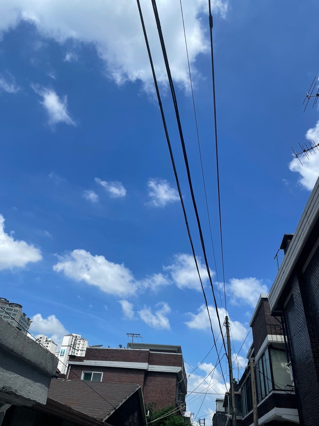 서울 성북구 정릉동 A53 저가폰! 구매! 이미지 3