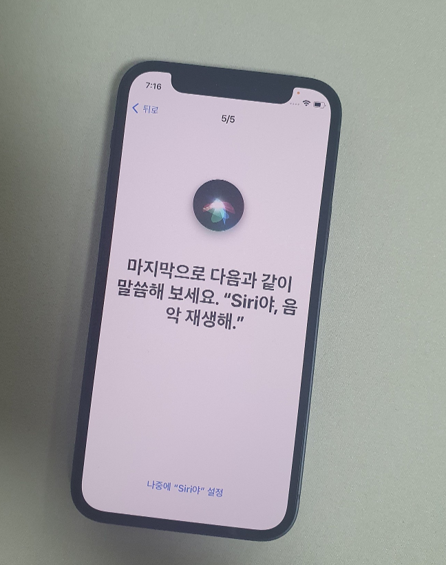 시흥 신천 어제저녁 12미니 구매하고왔어요~ ㅇㅇㅂㄹㄷ옆집