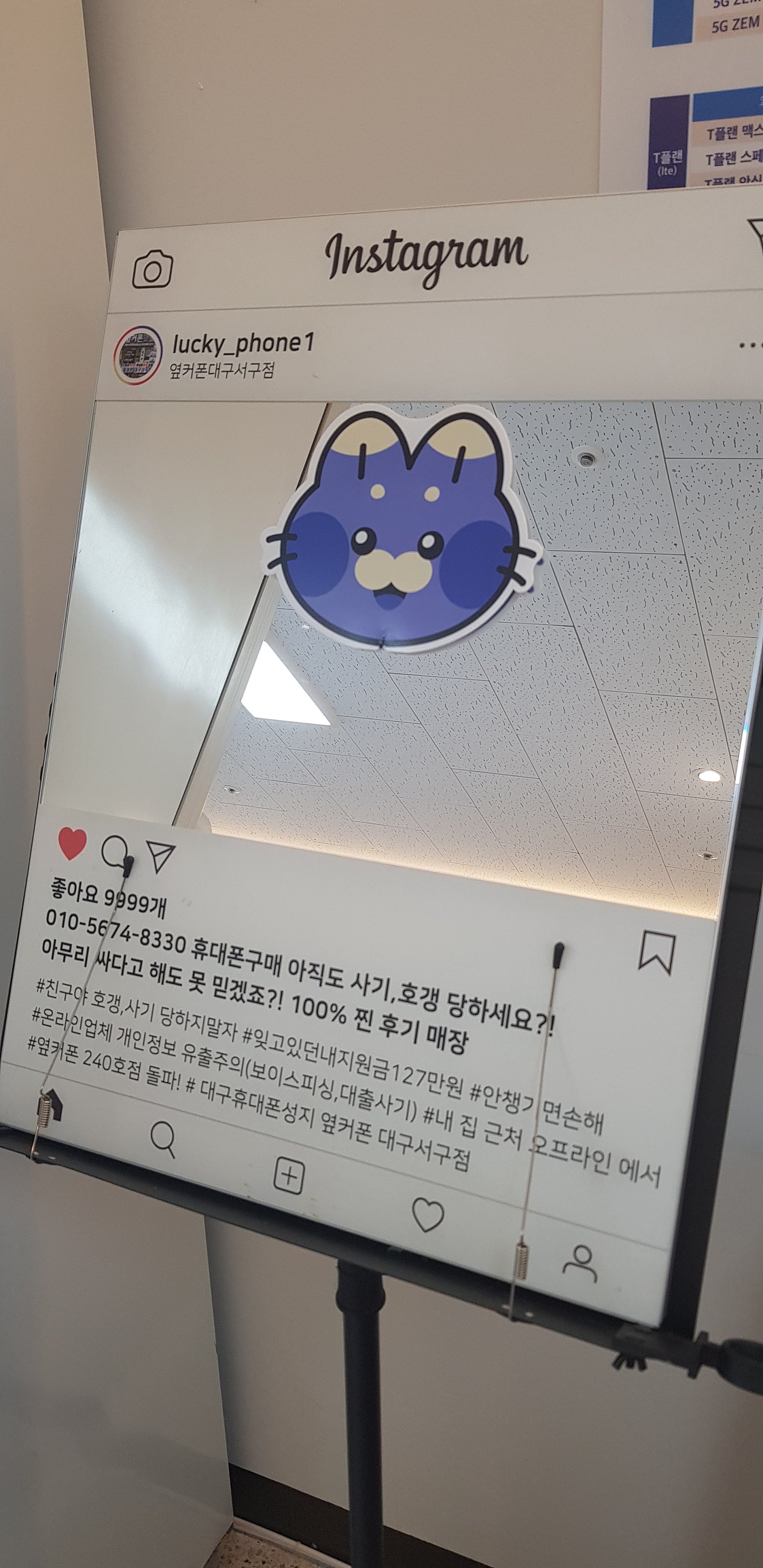 대구서구점에서 점프4 구매